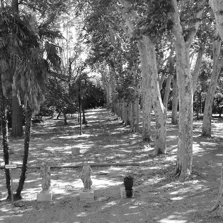 Chateau Rieutort Gites Saint-Pargoire エクステリア 写真