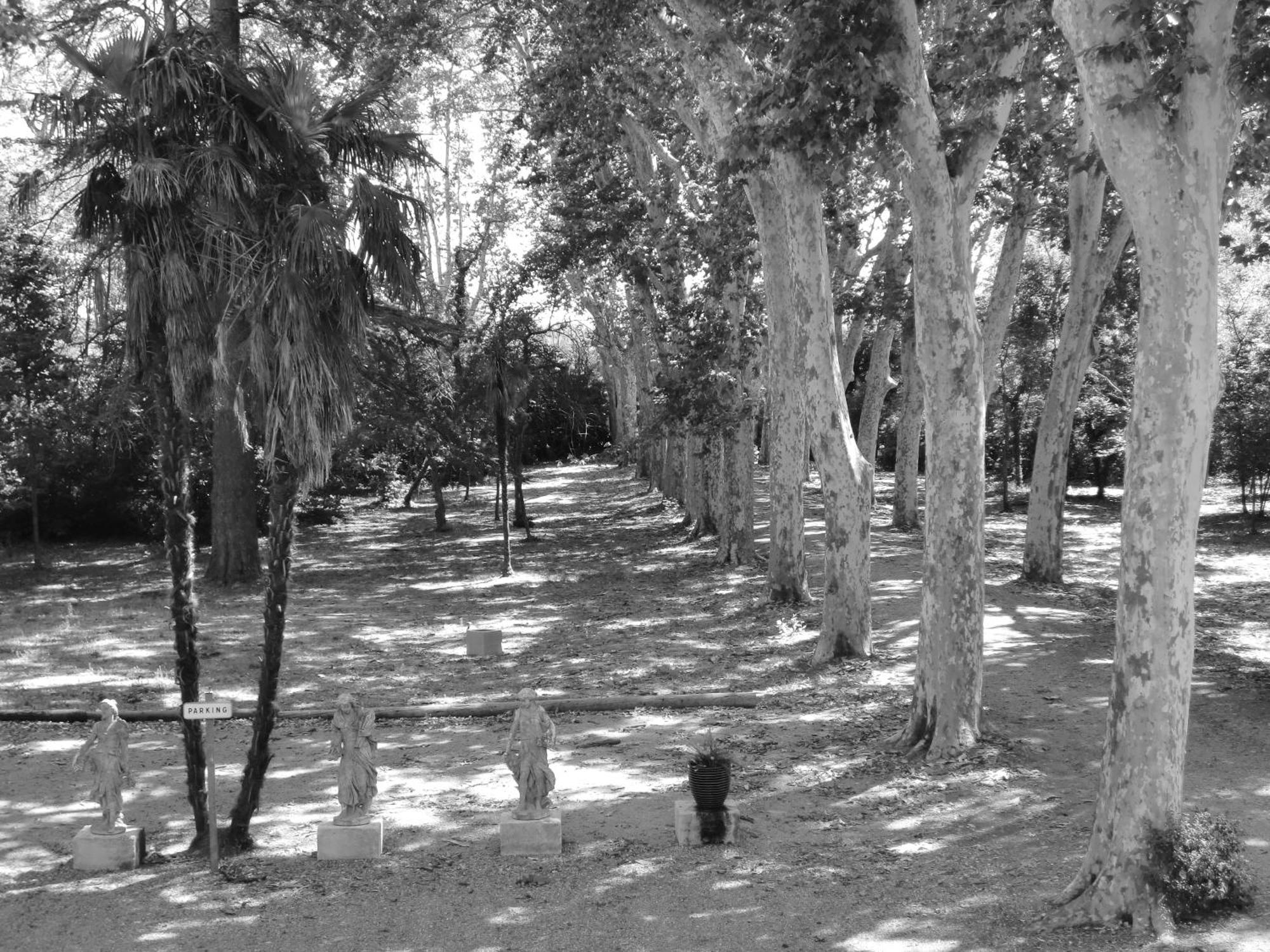 Chateau Rieutort Gites Saint-Pargoire エクステリア 写真